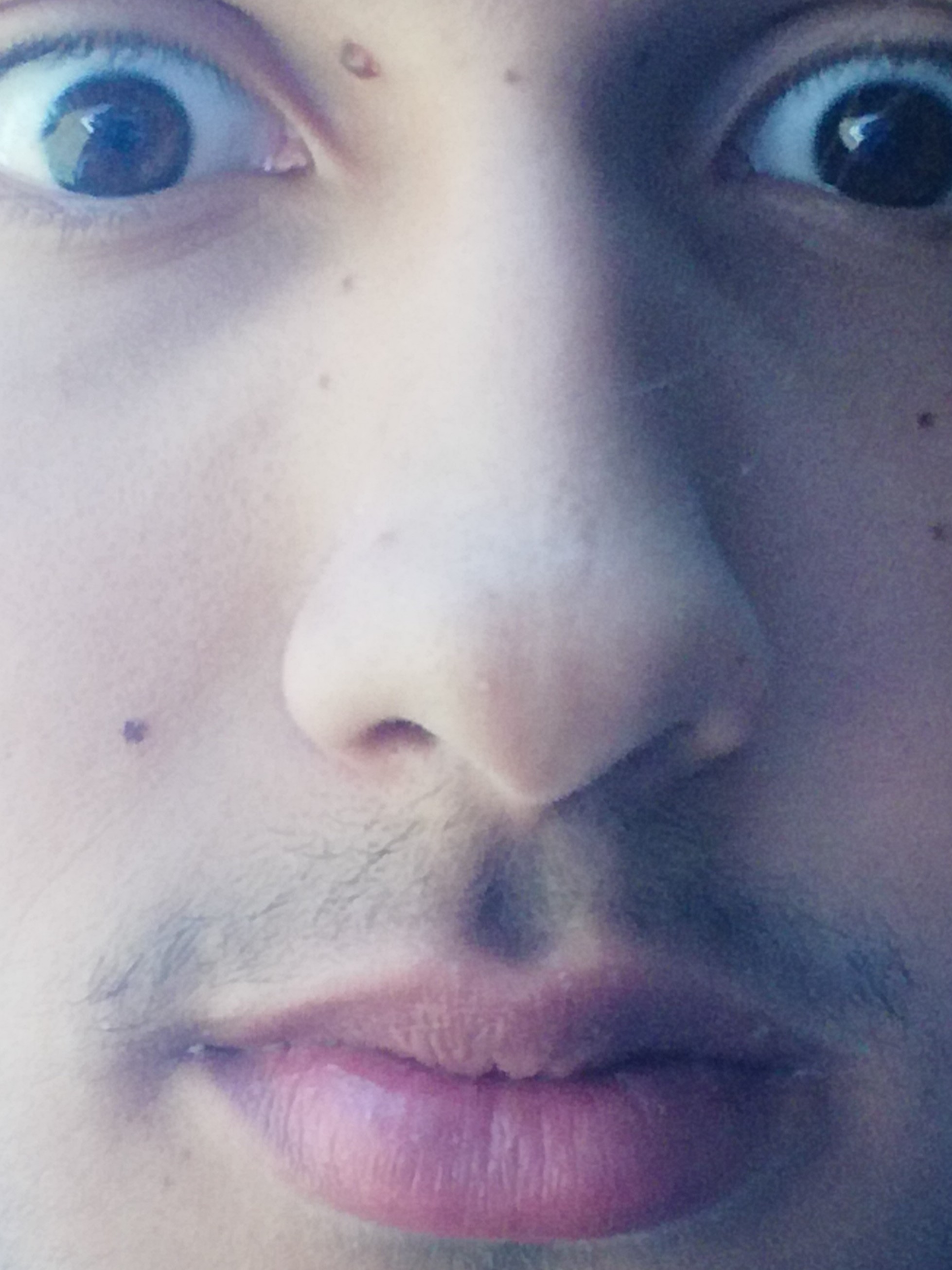 skereboy avatar